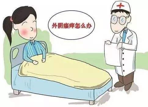 得了外阴瘙痒如何治疗