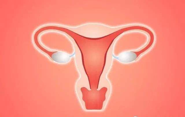 苏州的妇科医院_服用避孕药会导致卵巢早衰吗