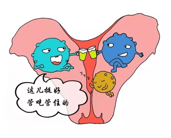 苏州妇科医院哪里专业_子宫肌瘤影响月经吗