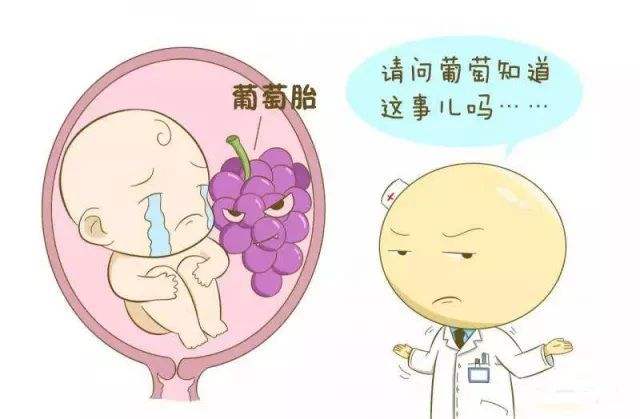 苏州人流哪个医院好_葡萄胎怎么治