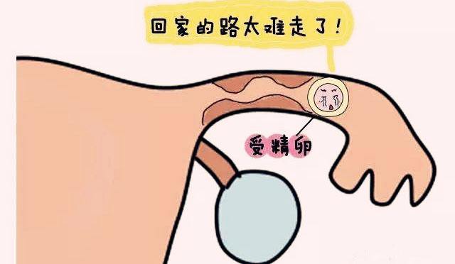 苏州的妇科医院哪个好